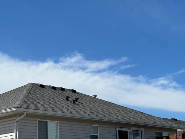 Best Gutter Installation and Repair  in Destrehan, LA